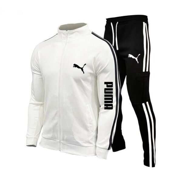 Conjunto puma