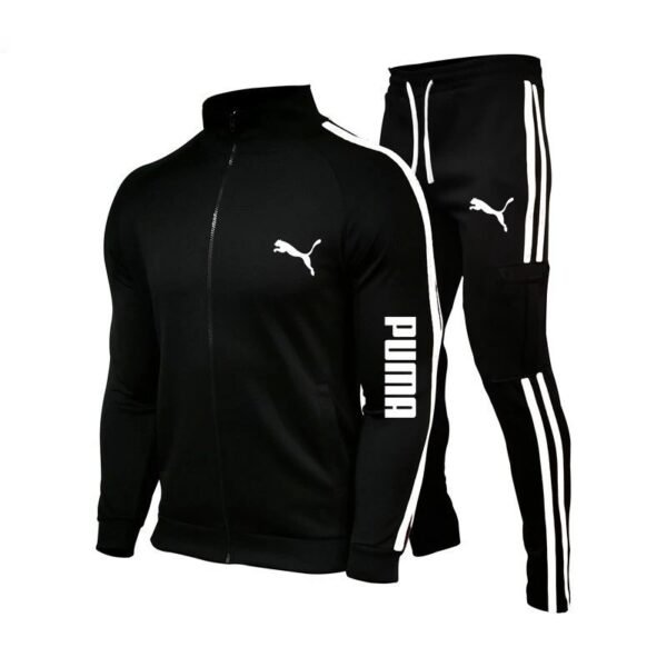 Conjunto puma